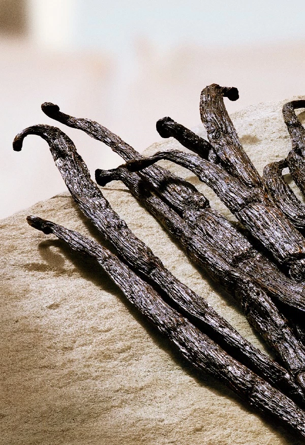 Vanilla