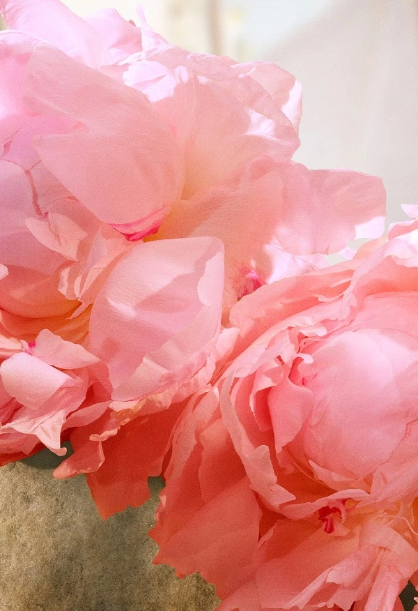 Peony
