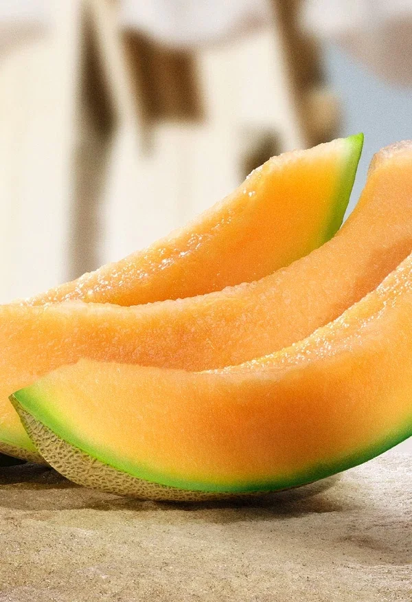 Sicilian Melon